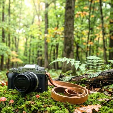 Photography Session (2 hrs)