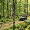 UTV Rental 1-Day